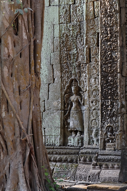 Ta Phrom et environs-168